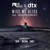Miss My Bliss (Original Mix) - Riri Mestica&DTX&Patricia Schuldtz