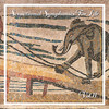 I. Allegro Assai - Eckart Haupt&Burkhard Glaetzner&kammerorchester Carl Philipp Emanuel Bach