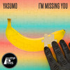I'm Missing You (Hey Sam & Torren Foot Remix) - Yasumo&Hey Sam&Torren Foot