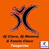 Tangerine (Alonso Chavez Radio Edit) - DJ Fonzies Choco&DJ Ciaco&DJ Memory&Fonzie Ciaco&Alonso Chavez
