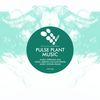 Music (Cesura Remix) - Pulse Plant&Cesura