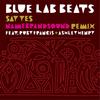 Say Yes (NameBrandSound Remix) - Blue Lab Beats&Ruby Francis&Ashley Henry