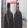 Gossip Baby - Tetra