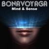 Funk Sense (Original Mix) - Bonavoyaga