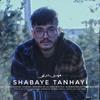 Shabaye Tanhayi - Mehdi Sharahi
