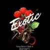 Exotic (feat. Slatt & BIGFOWTY) (Explicit) - Yvng $ick&Slatt&BIGFOWTY