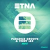 Mint (Original Mix) - Paradize Groove&Terry Lex