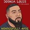 Wonderfully Made(feat. Big Marcus) - Joshua Louis&Big Marcus