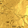 GNARSITY JACKET (Explicit) - Lee Scott&Bisk&SadhuGold
