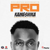 Kameshika(feat. Naiboi, Kristoff, The Kansoul & Jegede) (Remix) - Pro&NaiBoi&Kristoff&THE KANSOUL&Jegede