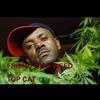 Friend With ** - Top Cat