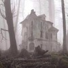 The Haunting - Honey Bone Rush