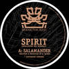 Salamander (Original Mix) - Spirit