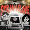 Strangelove(feat. Minty Burns) (Explicit) - Chris Thomas&Minty Burns