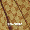 Senorita - Mario&Misshmusic