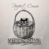 Cats In The Cradle - Perfect Crime