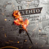 Te Cuento - EstoeSPosdata