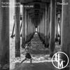 The Gull (Lunatique Sublime Remix) - Thomas Evans