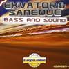 Bass & Sound (Original Mix) - Ekvator&Saneque