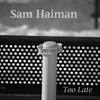 Too Late - Sam Haiman