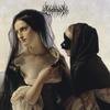 AMNESTY (feat. foxwedding) - Xander Crowley&Foxwedding
