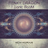 Sonic Boom (Original Mix) - Funky Dragon