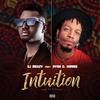 Intuition(feat. Ryan O. Harris) (Radio Edit) - DJ MEKZY&Ryan O. Harris