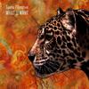 Hold Me (Original Mix) - Sasha Primitive