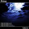 Big in the Clouds - Prinz