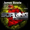 Side By Side (Truenorth Remix) - James Bowie&Truenorth