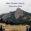 Quarantine Blues(feat. Deborah Stafford) - Blue Dream Camera&Deborah Stafford