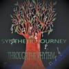Through the Rhythm - Synthetic Journey