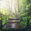 Dreams of Nature - Rain Man Sounds&Classical Study Music&Study Music&Sounds&Study Music & Sounds