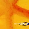 Supercharger (Original Mix) - Echosphere