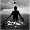 Manimal (Original Mix) - Joakuim