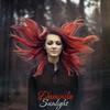 Sunlight - Daminika