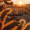 Wild West - Dminor