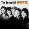 High on You - Survivor