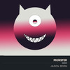 Monster (Electro Acoustic Mix) - Jason Born