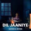 Dil Jaaniye (Slowed & Reverb) - Akash Khaira