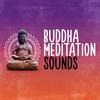 Waterfall - Buddha Sounds