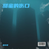 甜蜜的伤口 (cover: 山野（李昊瀚）) - 胡小斐