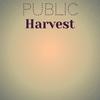 Hovers Forward - Enice