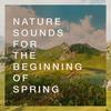 Orchard - Echoes of Nature