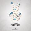 Suite 303 - Teaman