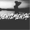 Sentimental - Skyvoice