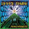 Peak Experience (Kailash Mix) - Space Tribe&Mad Maxx