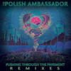 Let the Rhythm Just (Mr. Rogers Remix) - Mr. Lif&The Polish Ambassador&Mr. Rogers&Ayla Nereo