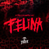 Felina (Explicit) - DJ MARTINS MPC&Mc Ruivin&DJ THG&Mc Noka