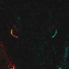 imma do what it takes (Explicit) - Axtone&Lil Gicz